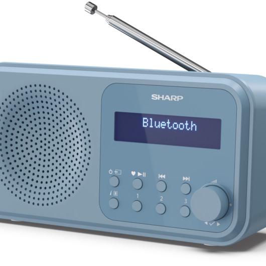 Tokyo Wireless DAB Radio - Blue